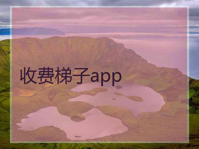 收费梯子app