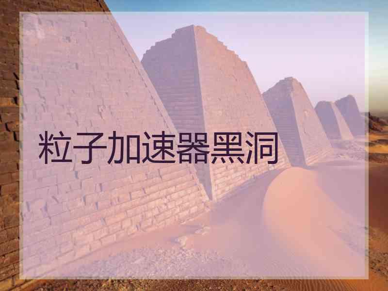粒子加速器黑洞