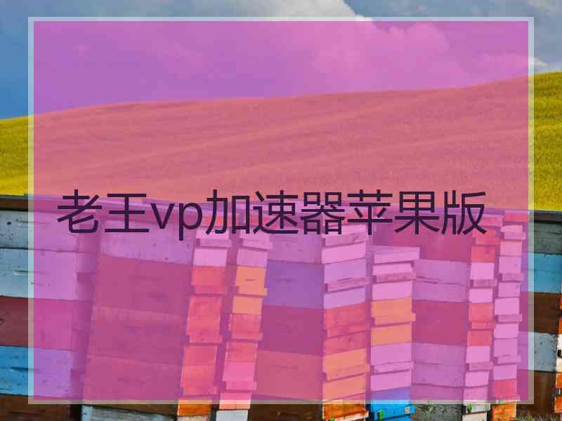 老王vp加速器苹果版