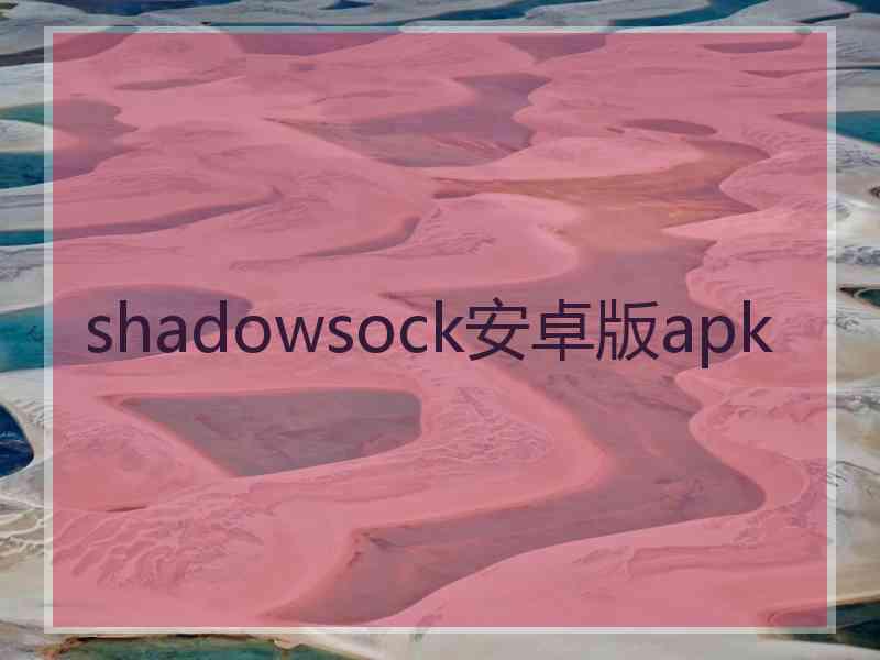 shadowsock安卓版apk