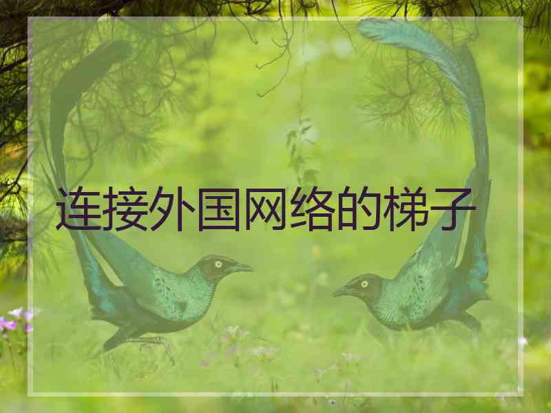 连接外国网络的梯子