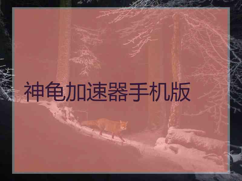 神龟加速器手机版
