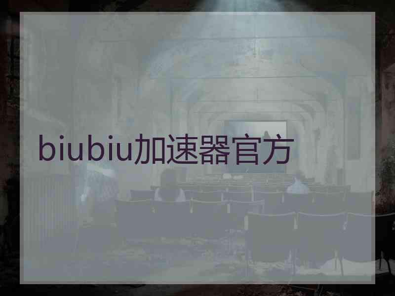 biubiu加速器官方