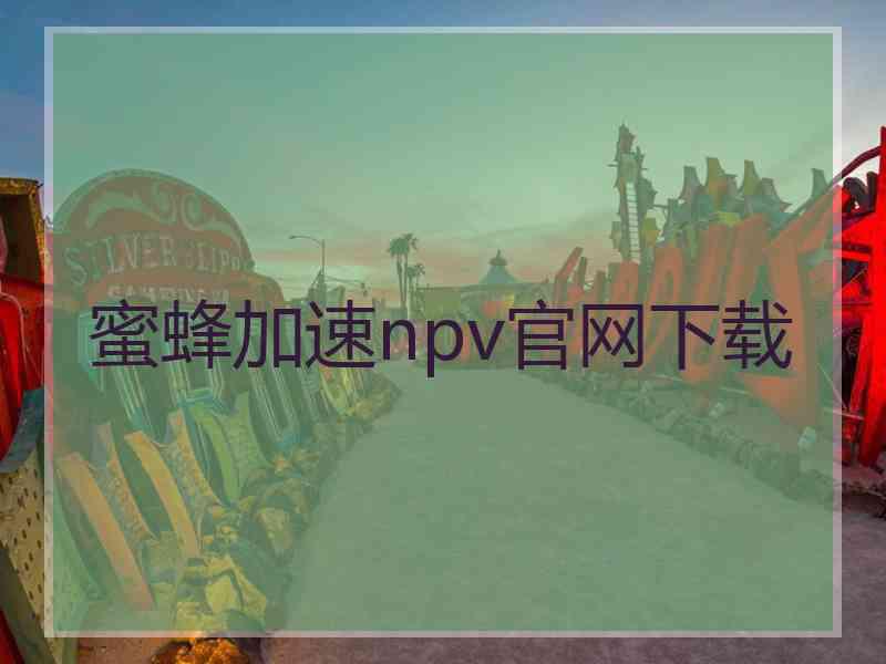 蜜蜂加速npv官网下载