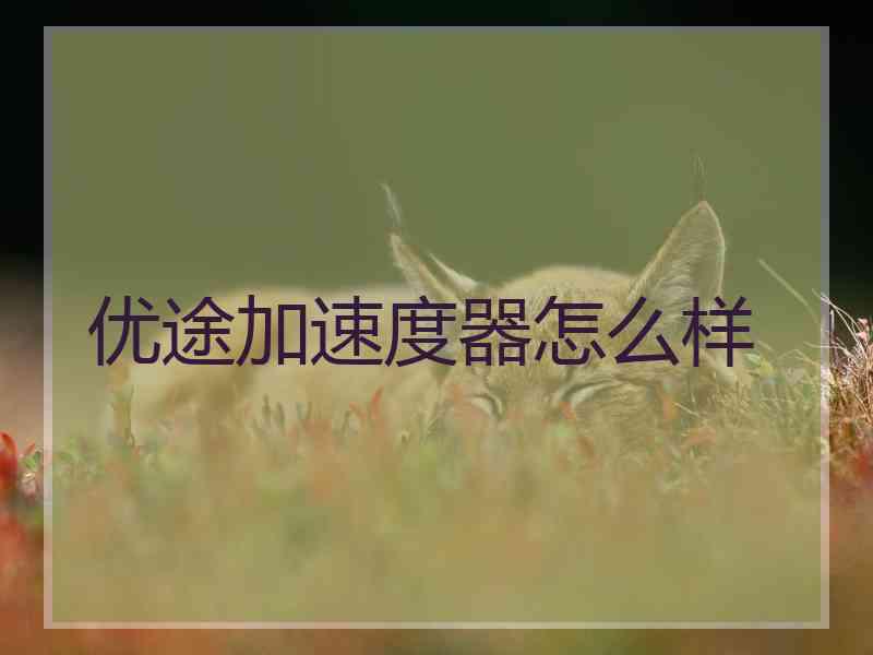 优途加速度器怎么样