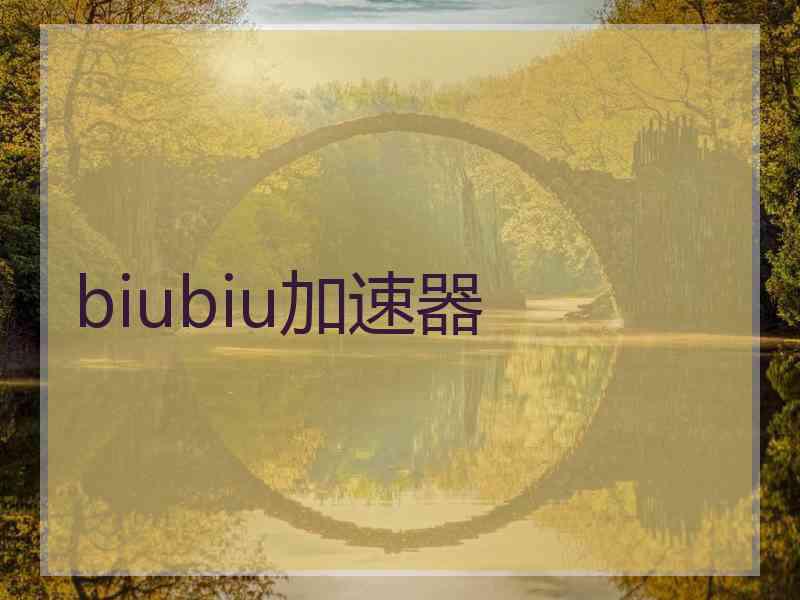 biubiu加速器