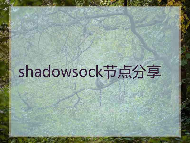 shadowsock节点分享