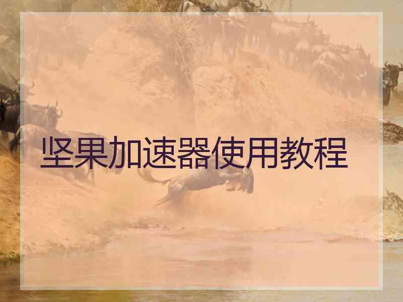 坚果加速器使用教程