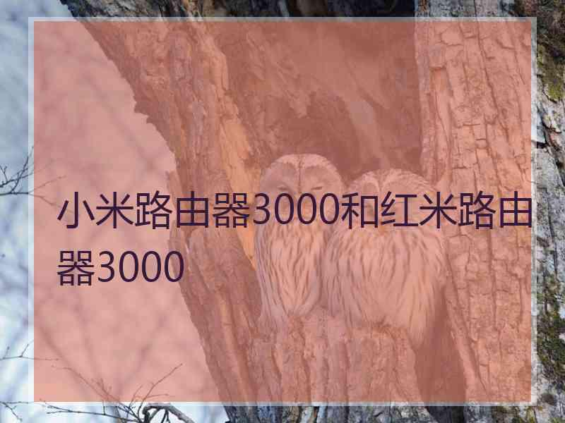 小米路由器3000和红米路由器3000