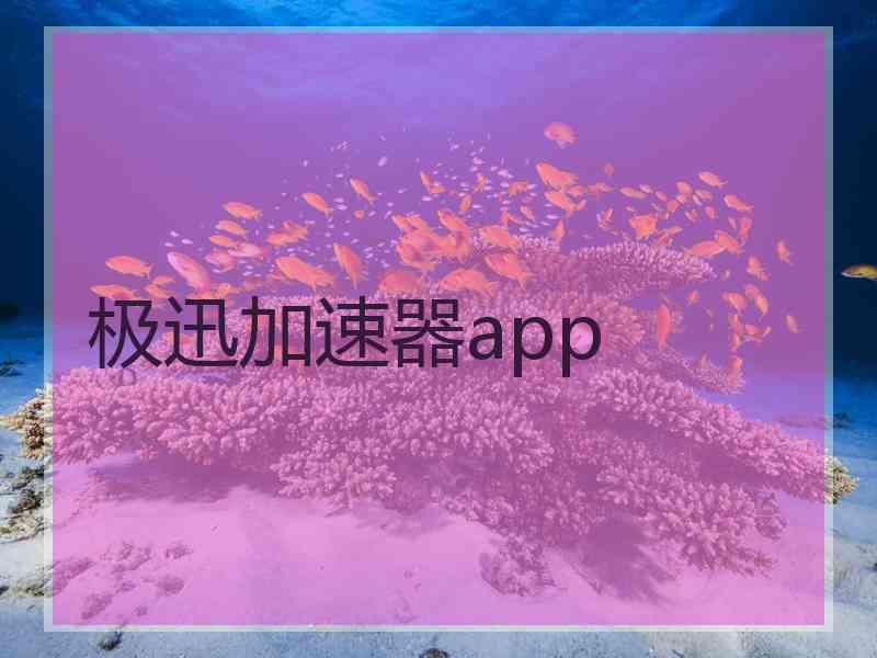 极迅加速器app