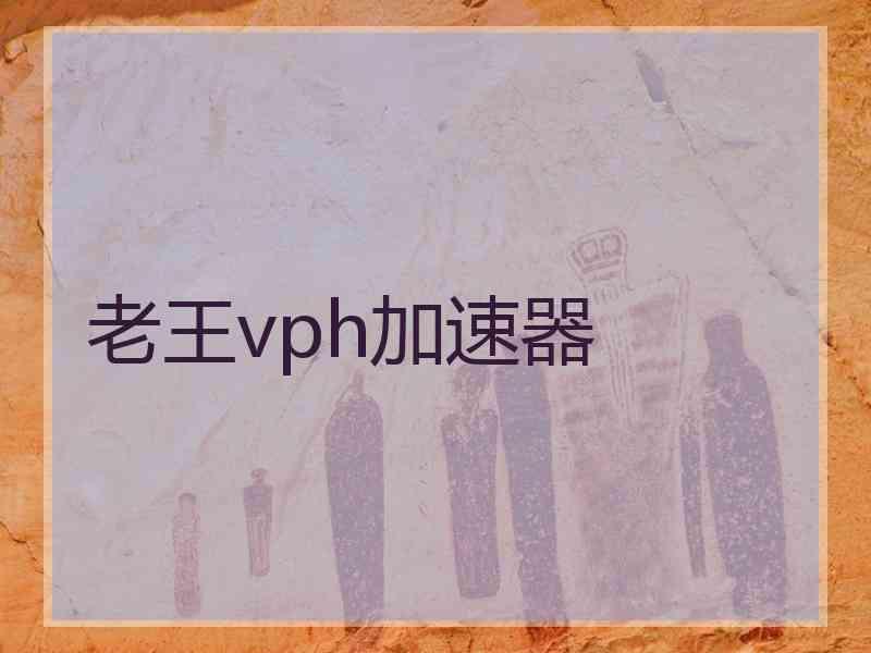 老王vph加速器