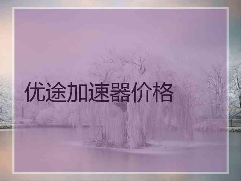 优途加速器价格