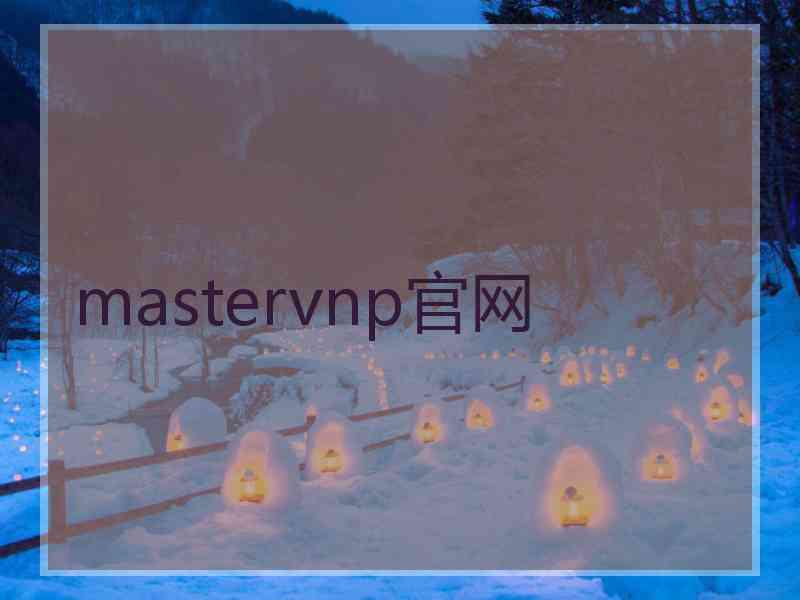 mastervnp官网