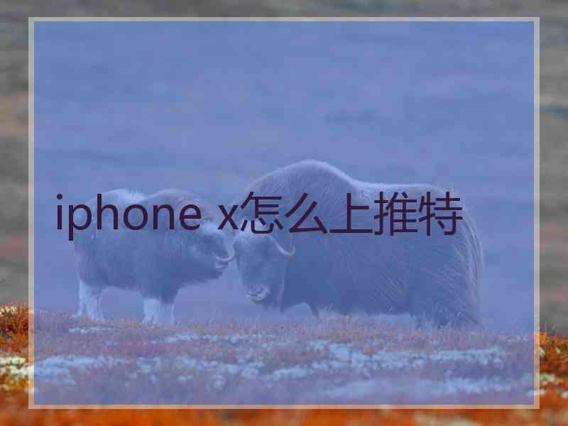 iphone x怎么上推特