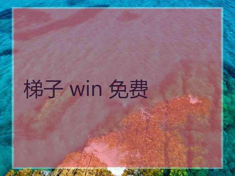 梯子 win 免费