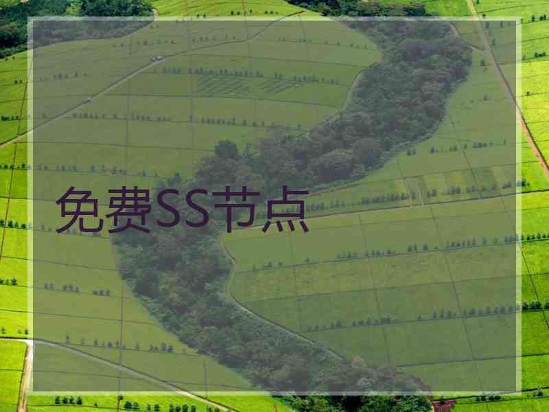 免费SS节点