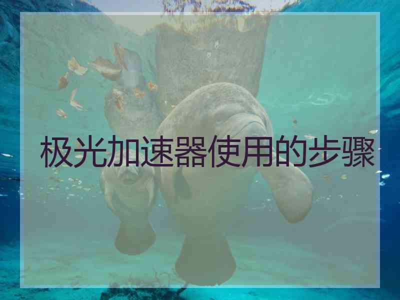 极光加速器使用的步骤