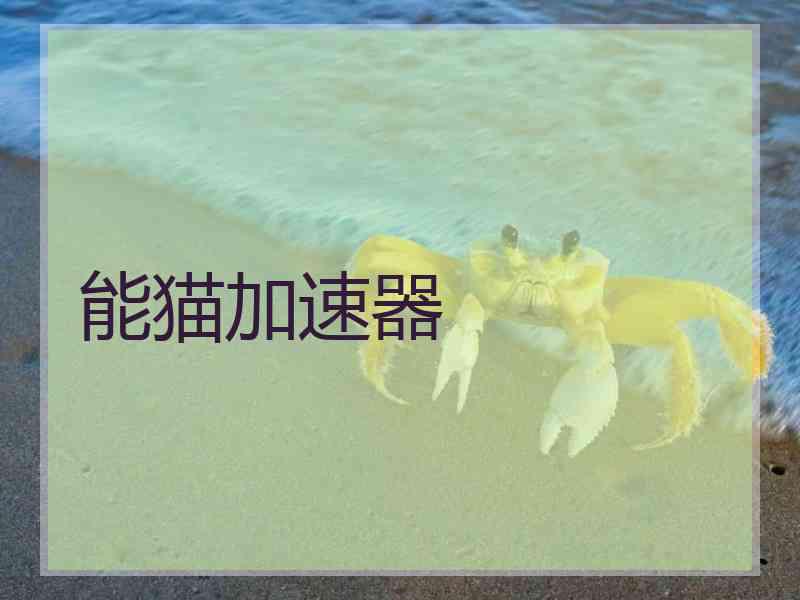 能猫加速器
