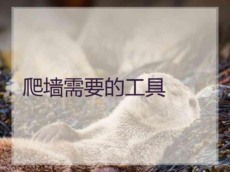 爬墙需要的工具