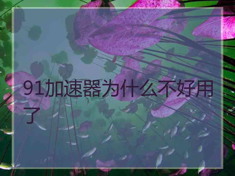 91加速器为什么不好用了