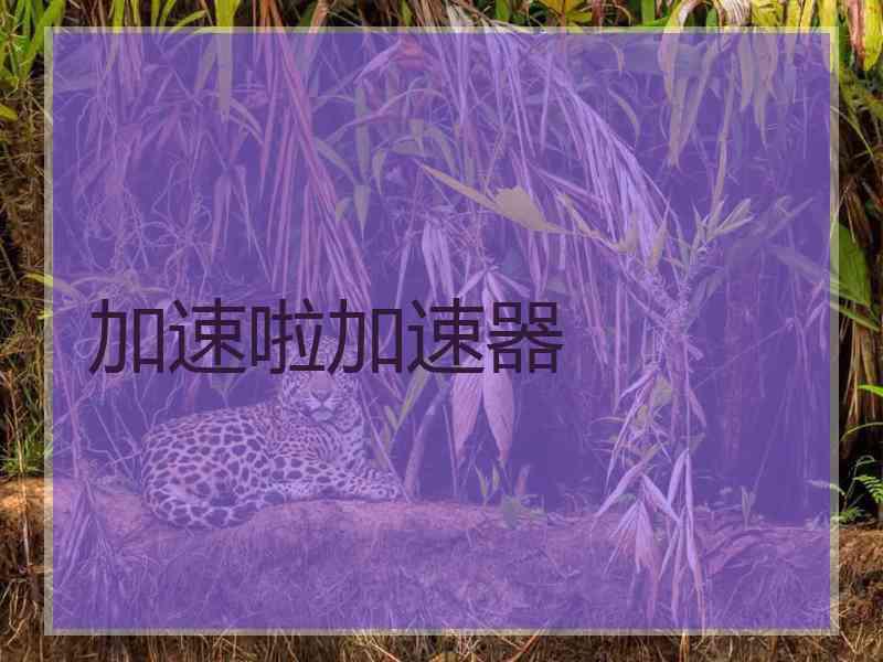 加速啦加速器