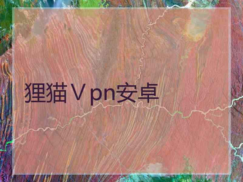 狸猫Ⅴpn安卓