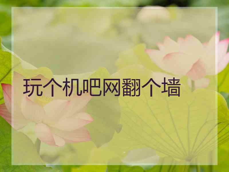 玩个机吧网翻个墙