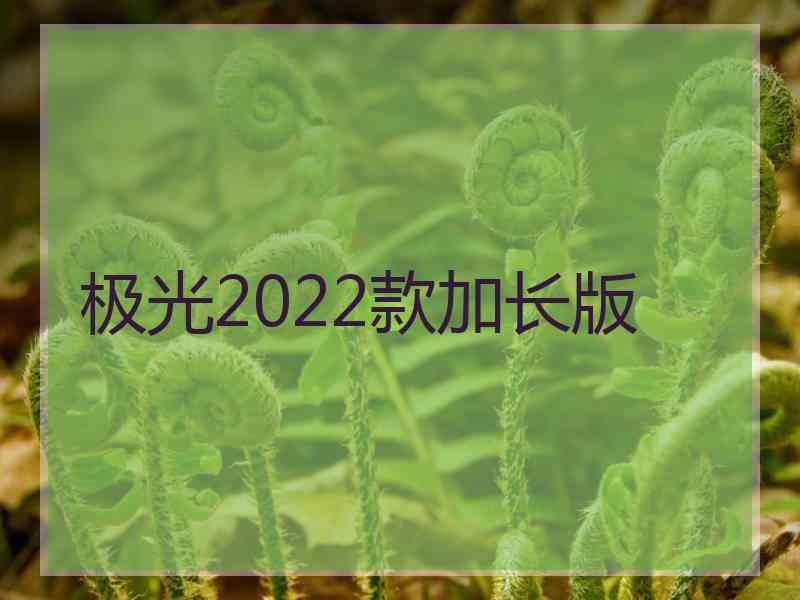 极光2022款加长版