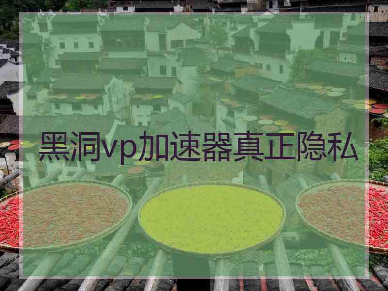 黑洞vp加速器真正隐私