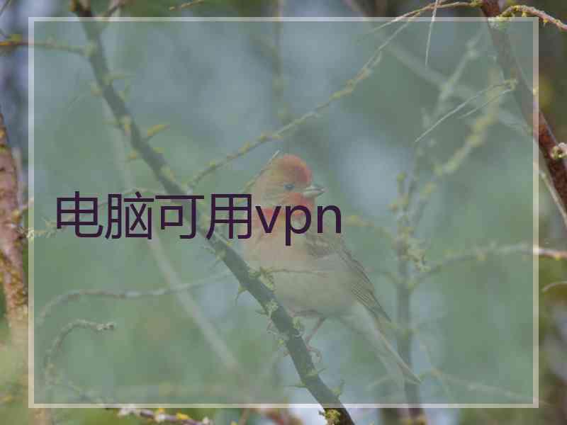 电脑可用vpn