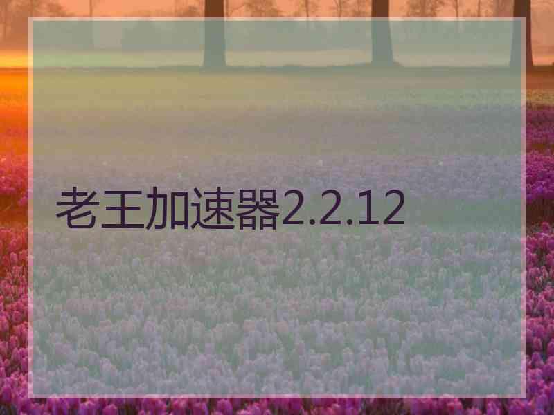 老王加速器2.2.12