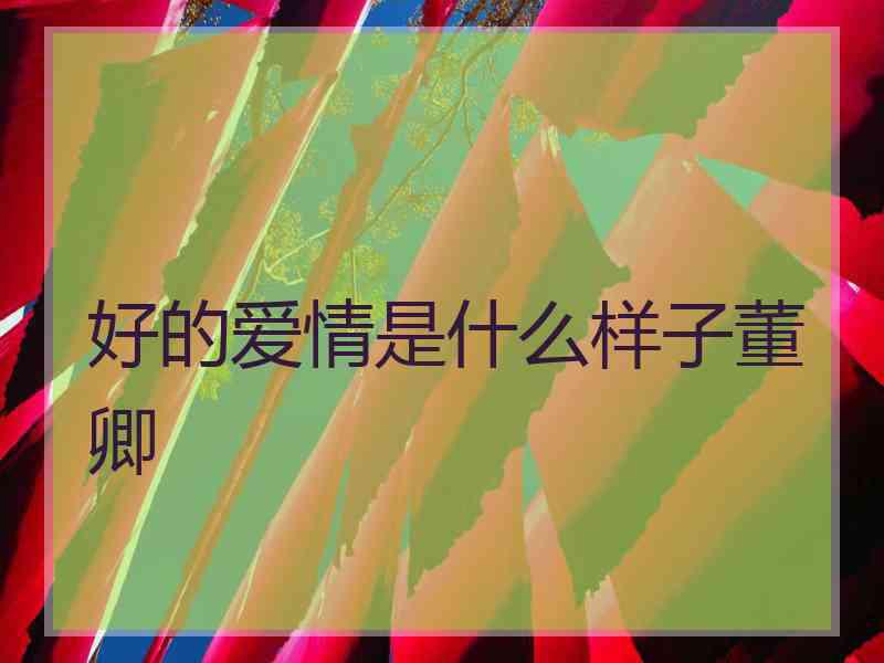 好的爱情是什么样子董卿