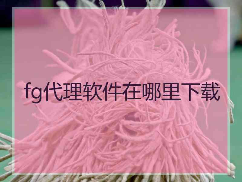 fg代理软件在哪里下载