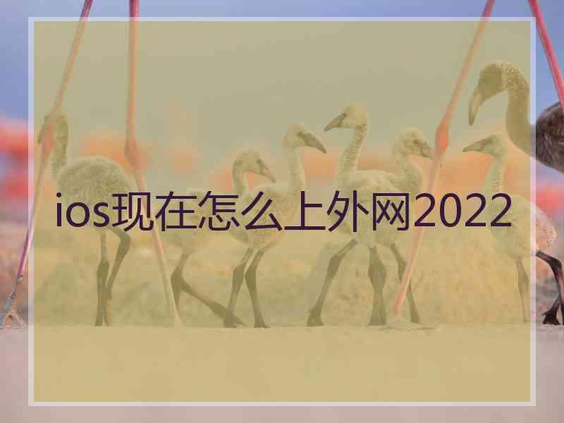 ios现在怎么上外网2022