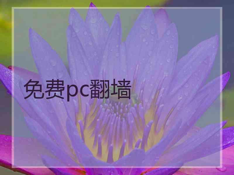 免费pc翻墙