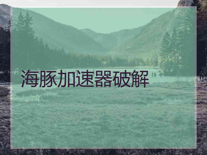 海豚加速器破解