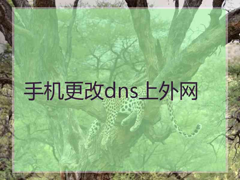手机更改dns上外网