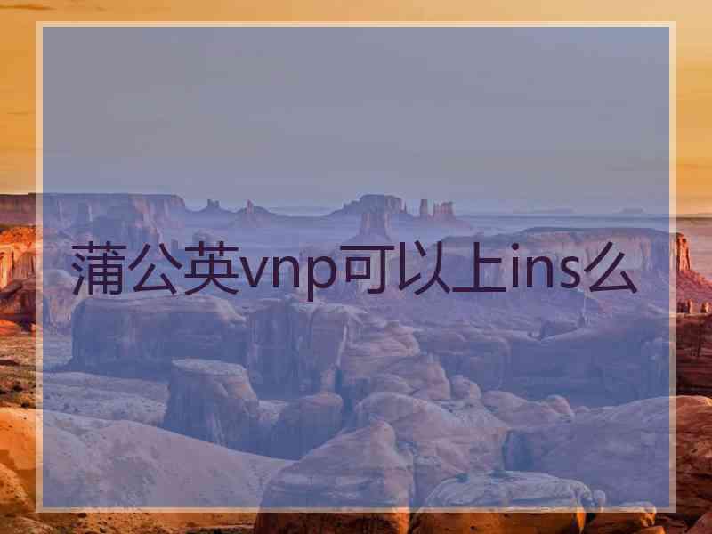 蒲公英vnp可以上ins么