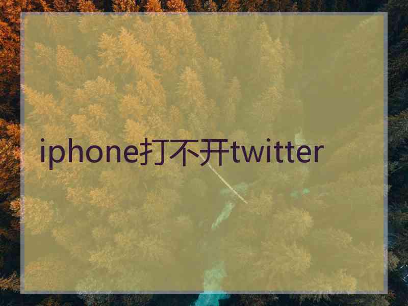 iphone打不开twitter