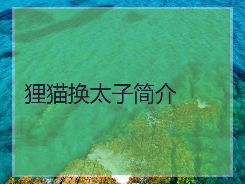 狸猫换太子简介