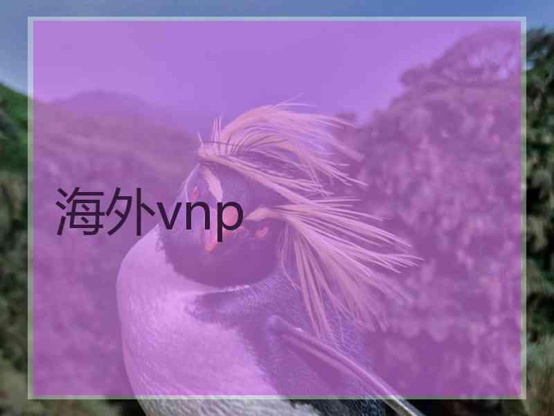 海外vnp