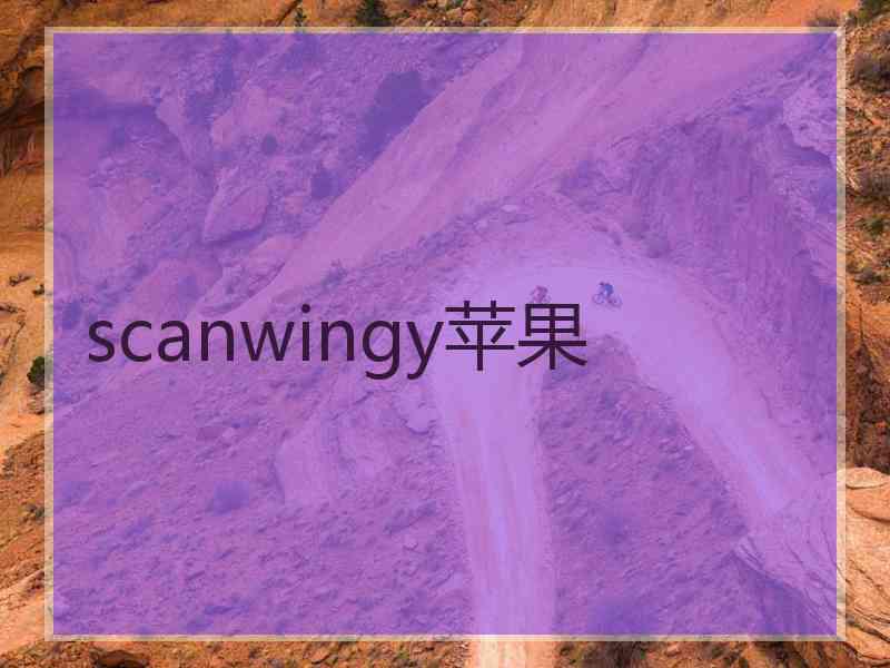scanwingy苹果