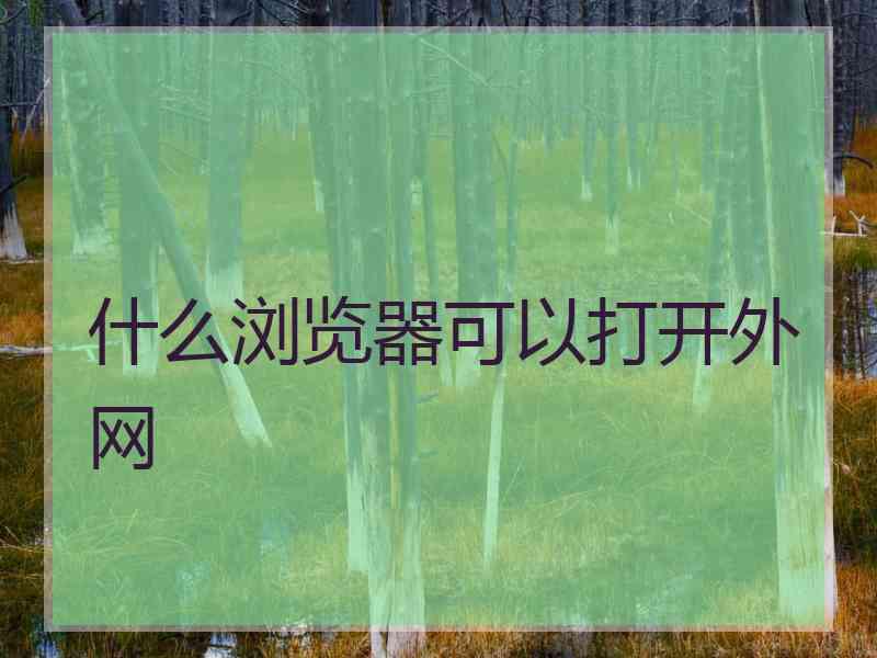 什么浏览器可以打开外网