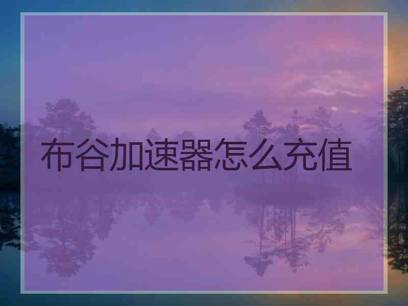 布谷加速器怎么充值