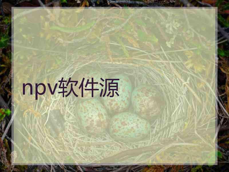 npv软件源
