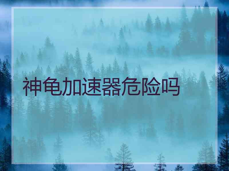 神龟加速器危险吗