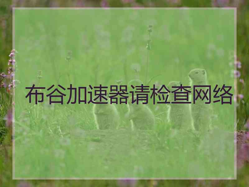 布谷加速器请检查网络