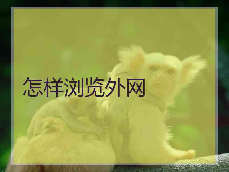 怎样浏览外网