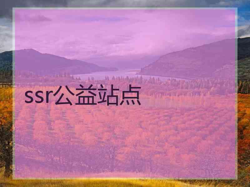 ssr公益站点