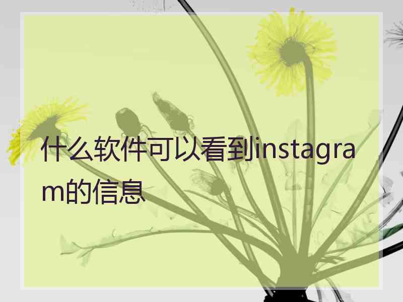 什么软件可以看到instagram的信息